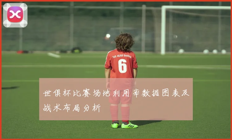 世俱杯比赛场地利用率数据图表及战术布局分析