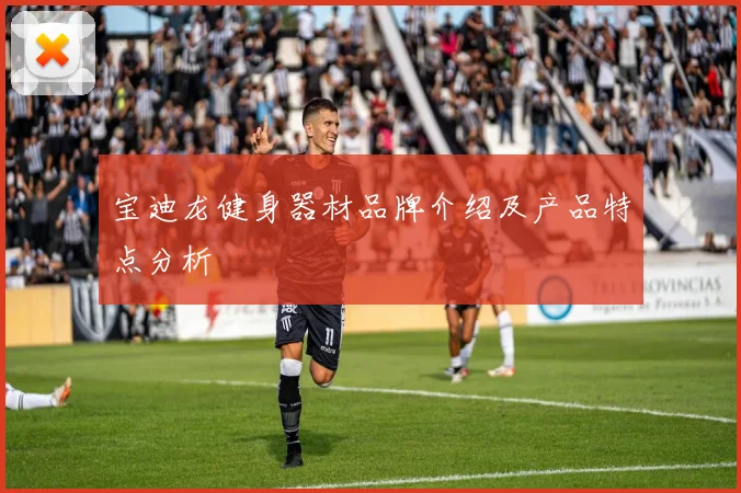 宝迪龙健身器材品牌介绍及产品特点分析