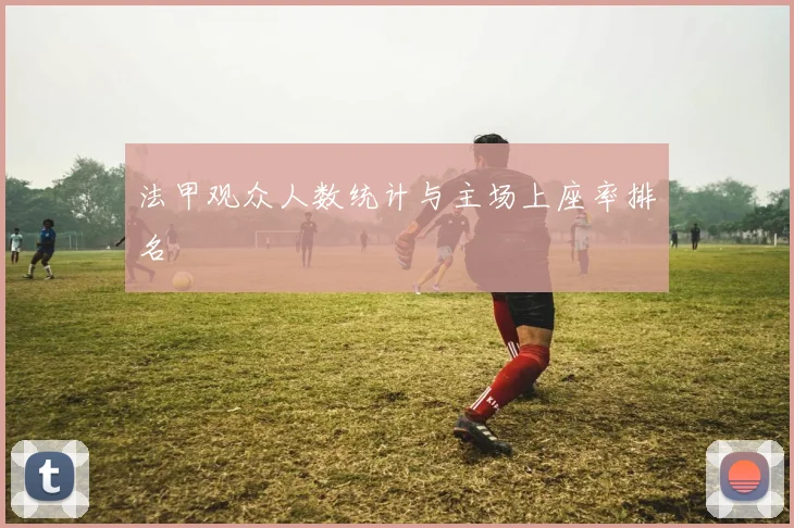 法甲观众人数统计与主场上座率排名