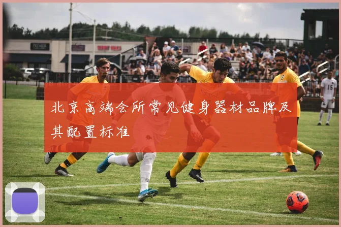 北京高端会所常见健身器材品牌及其配置标准