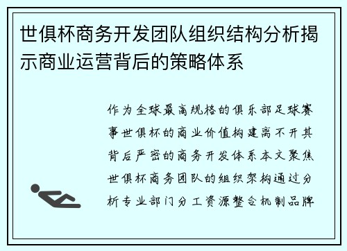 世俱杯商务开发团队组织结构分析揭示商业运营背后的策略体系